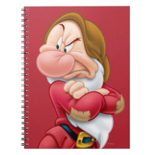 Grumpy 3 notebook