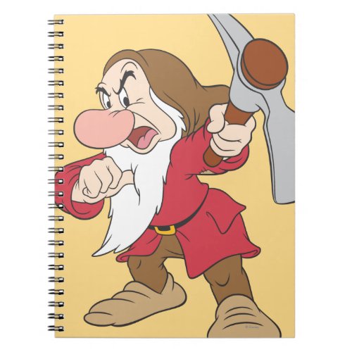 Grumpy 4 notebook