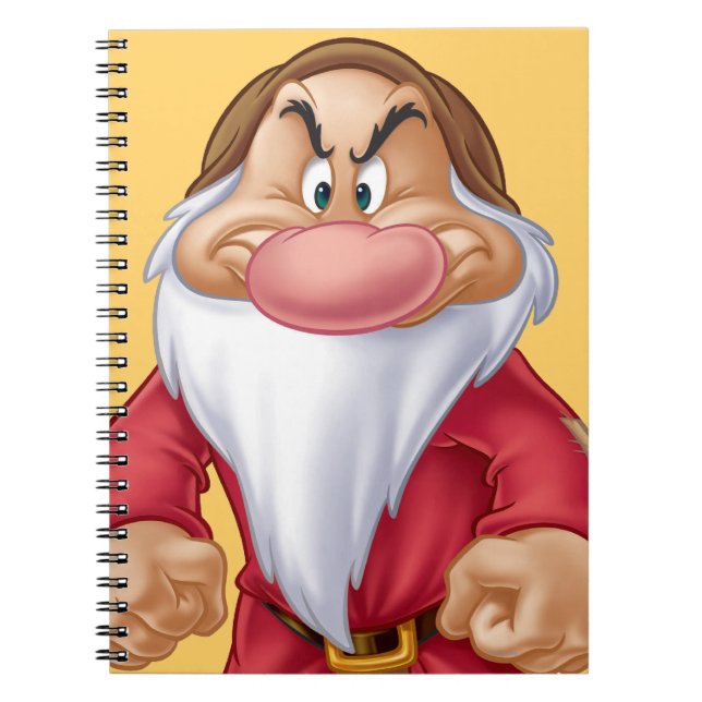 Grumpy 5 notebook (Front)