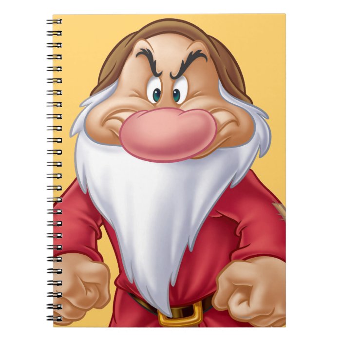 Grumpy 5 spiral notebooks