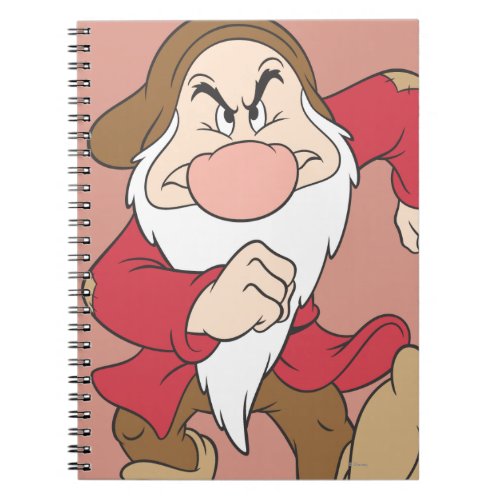 Grumpy 6 notebook