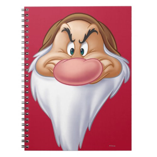 Grumpy 8 notebook