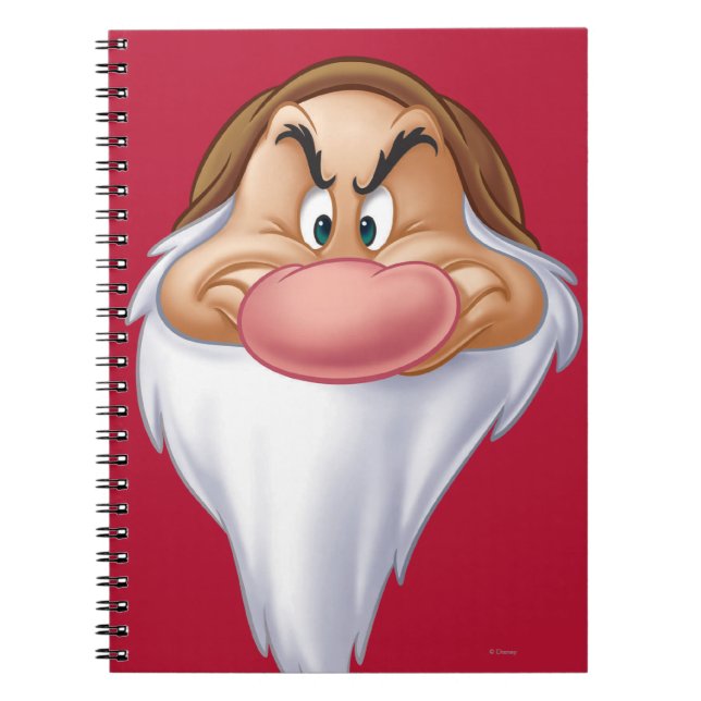 Grumpy 8 notebook (Front)