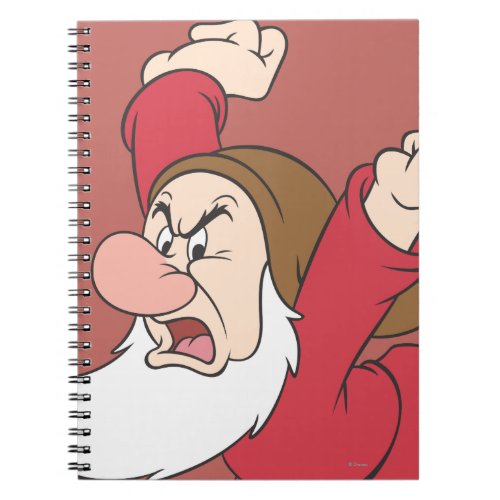 Grumpy 9 notebook