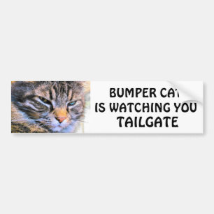 Grumpy Angel Bumper Cat is watching TAILGATE 31 Sticker