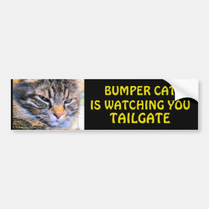 Grumpy Angel Bumper Cat is watching TAILGATE 40 Sticker