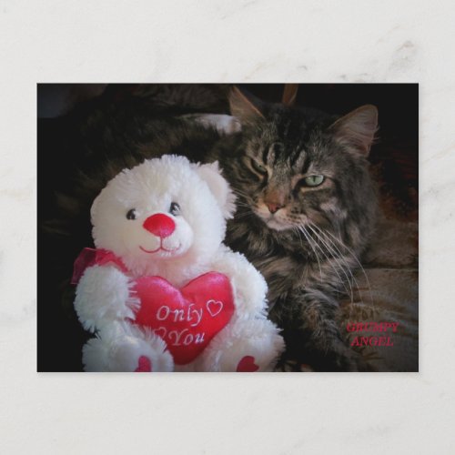 Grumpy Angel Cat and Heart Teddy Bear Postcard