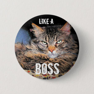 Grumpy Angel, Like A Boss Cat Meme Pinback Button