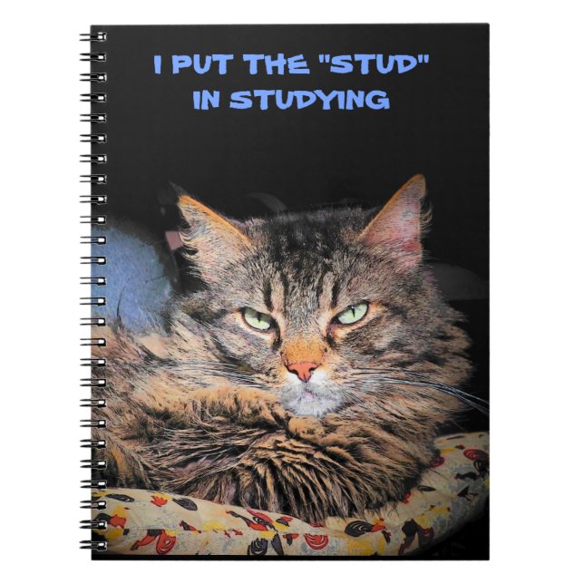 Grumpy Angel puts the Stud in Studying Notebook (Front)