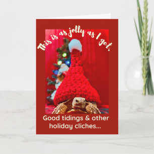 Grumpy baby sulcata tortoise in red hat Holiday Card
