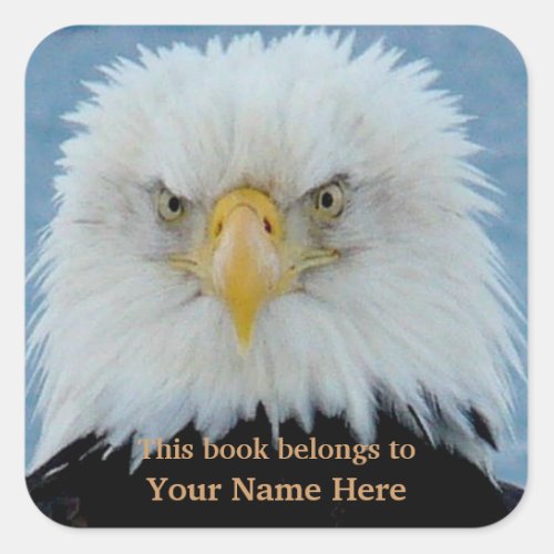Grumpy Bald Eagle Square Sticker