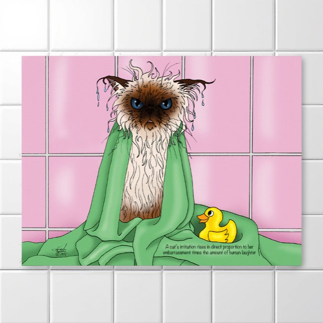 Grumpy Bath Time Himalayan Siamese Cat Funny Pink Poster (Creator Uploaded)