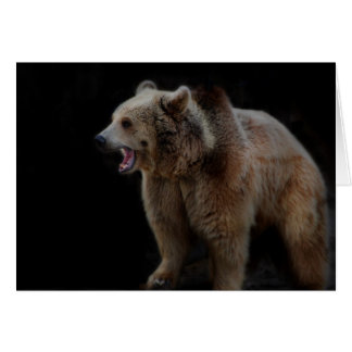 Grumpy Bear! Cards