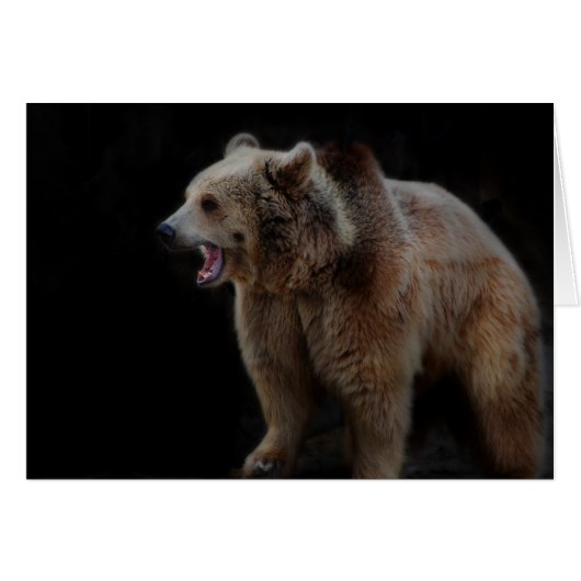 Grumpy Bear! Cards (Front Horizontal)