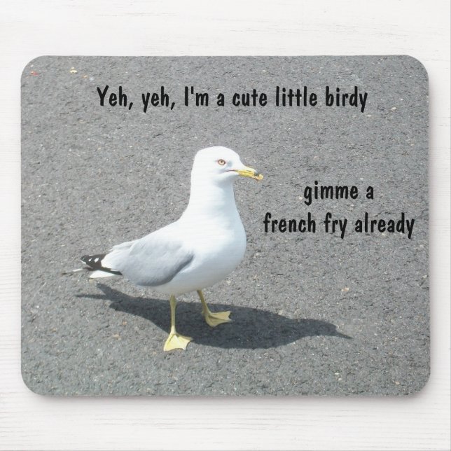 Grumpy Begger Seagull Animal Meme Mouse Pad (Front)