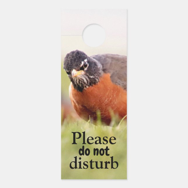 Grumpy Bird Do Not Disturb Door Hanger (Front)
