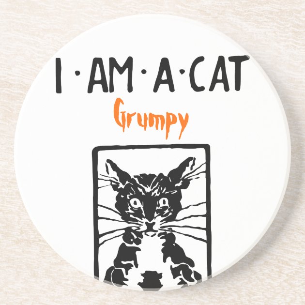grumpy black cat grumpy black cat