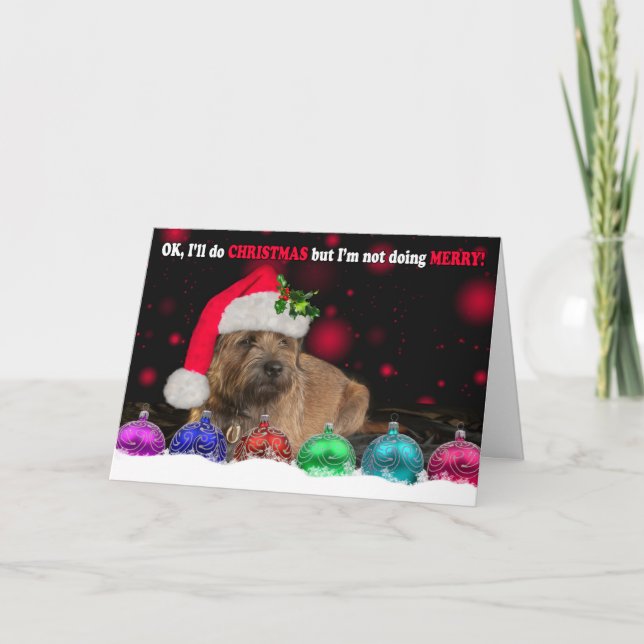 Grumpy Border Terrier Dog Wearing A Santa Hat, Wit Holiday Card (Front)