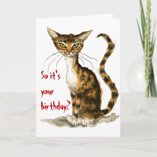 Grumpy brown tabby cat funny birthday card | Zazzle.com