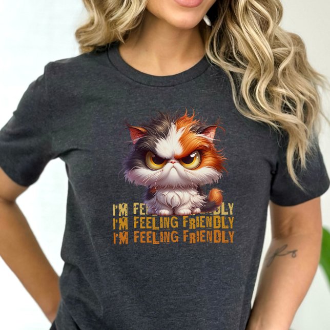Grumpy Calico Cat and funny quote Tri-Blend Shirt (Creator Uploaded)