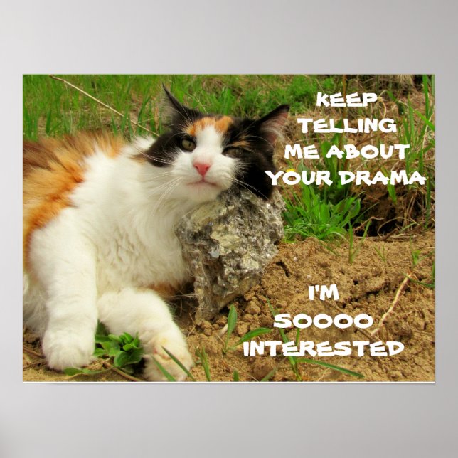 Grumpy Calico Cat Drama Sarcasm Poster (Front)