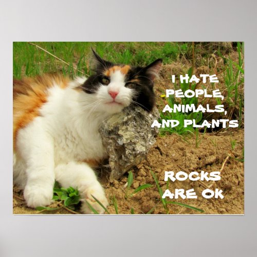Grumpy Calico Hates Everything but Rocks Poster