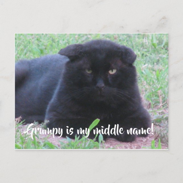 Grumpy card (Front)