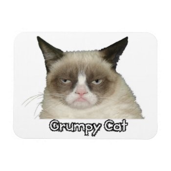 Grumpy Cat 3x4 Flexible Magnet by thegrumpycat at Zazzle