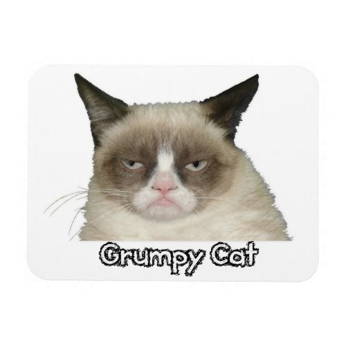 Grumpy Cat 3x4 Flexible Magnet