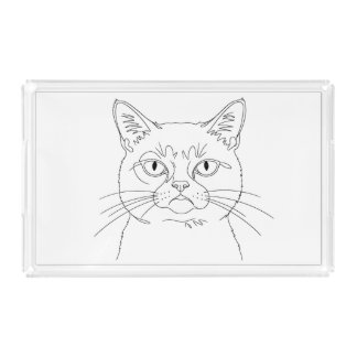 Grumpy cat acrylic tray