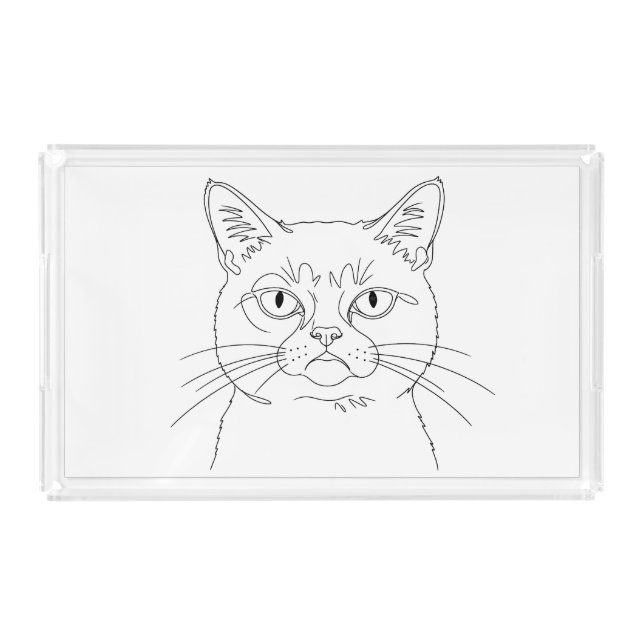 Grumpy cat acrylic tray (Front)