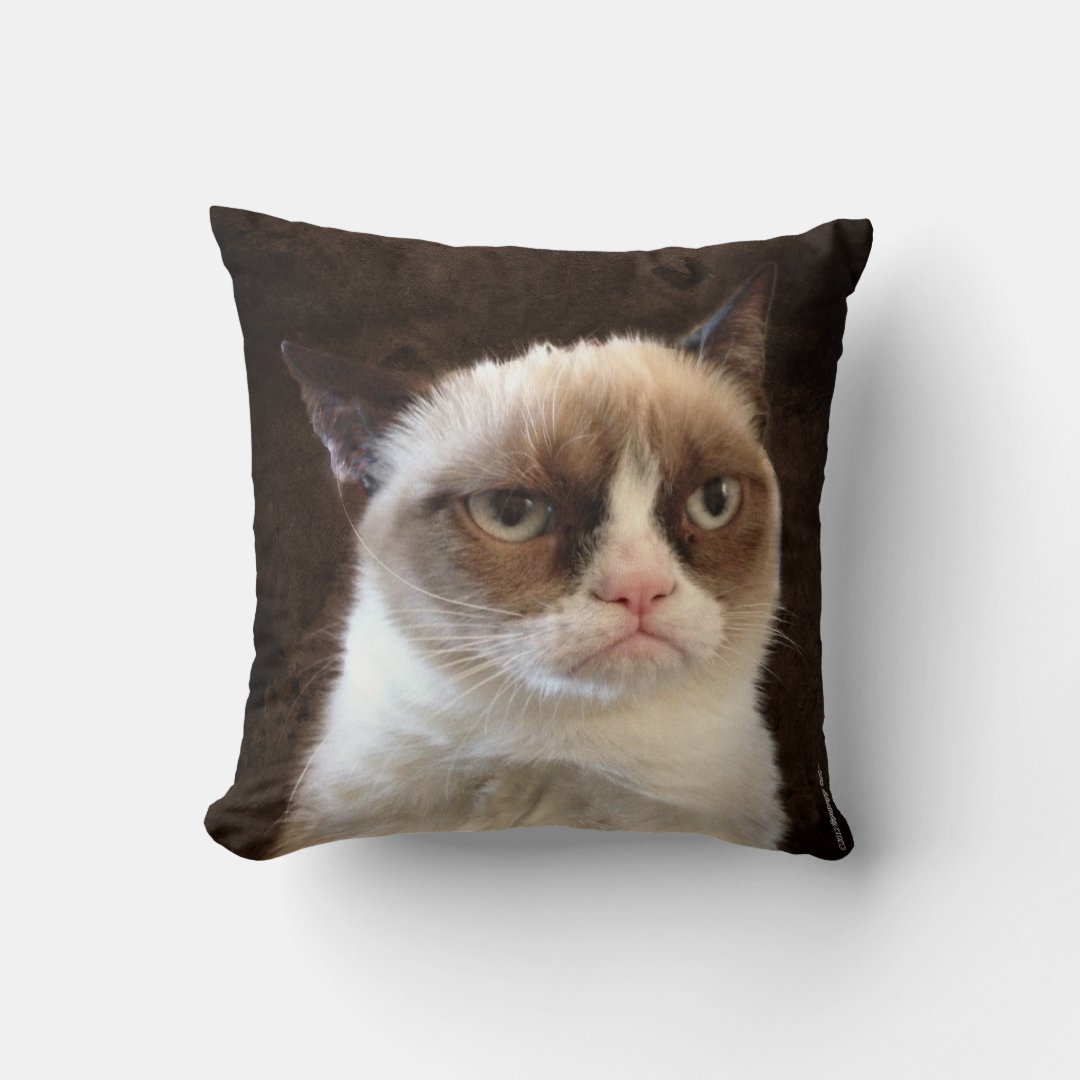 Grumpy Cat Brown Pillow Zazzle