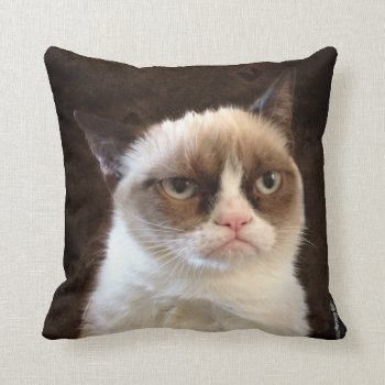 Grumpy Cat Brown Pillow by thegrumpycat at Zazzle