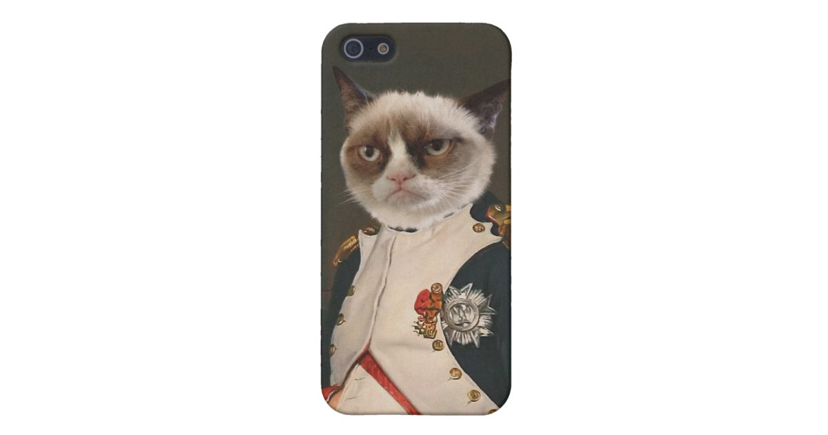 Grumpy Cat Classic Painting iPhone Case | Zazzle