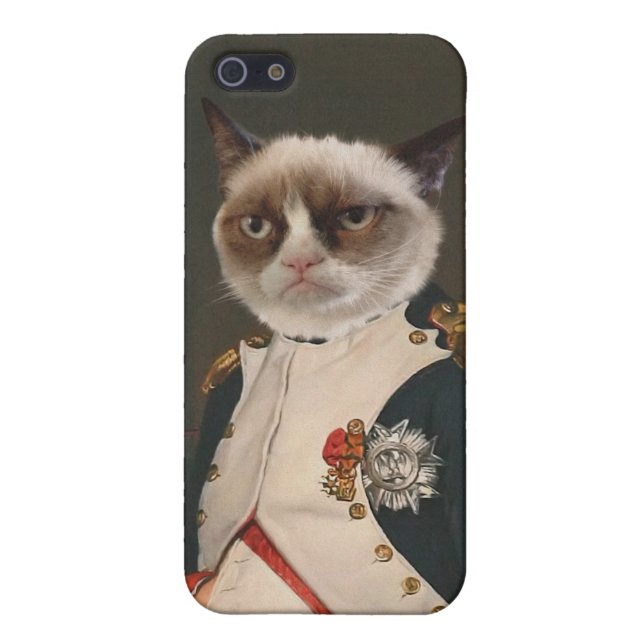 Grumpy Cat Classic Painting iPhone Case (Back)