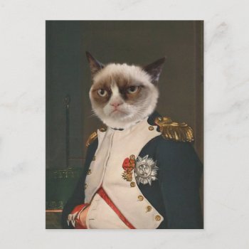 Grumpy Cat Classic Painting Postcard by thegrumpycat at Zazzle