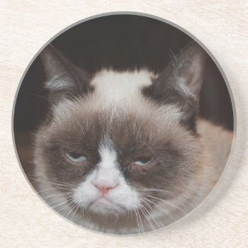 Grumpy Cat Costers V3 Sandstone Coaster by thegrumpycat at Zazzle