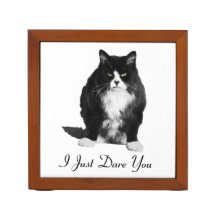 Grumpy Cat Desk Organizer