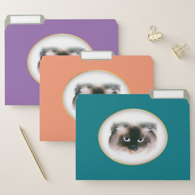 Grumpy Cat File Folder (Set)