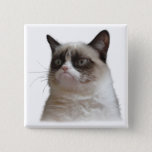 Grumpy Cat Glare Button at Zazzle