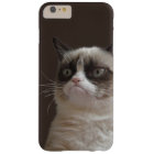Grumpy Cat Glare