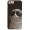 Grumpy Cat Glare