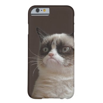 Grumpy Cat Glare Barely There Iphone 6 Case by thegrumpycat at Zazzle