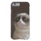 Grumpy Cat Glare