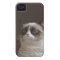Grumpy Cat Glare