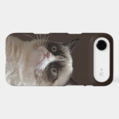 Grumpy Cat Glare Case-Mate iPhone Case (Back (Horizontal))