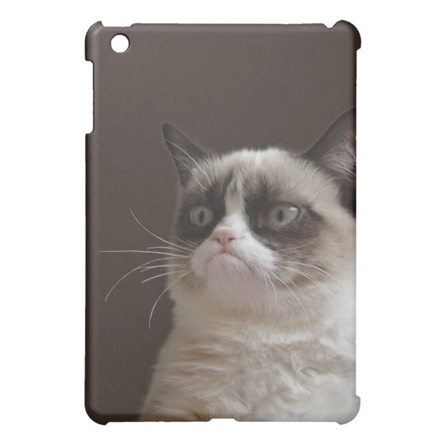 Grumpy Cat Glare Cover For The iPad Mini (Back)