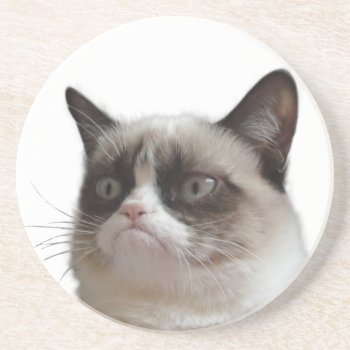 Grumpy Cat Glaring Coasters by thegrumpycat at Zazzle