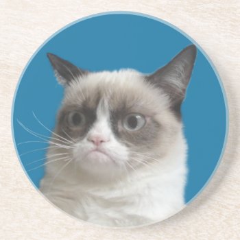 Grumpy Cat Grumpy Stare Coasters by thegrumpycat at Zazzle