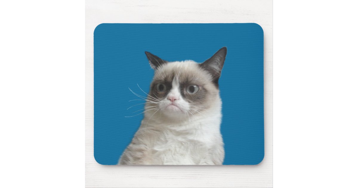 Browse thousands of Grumpy Cat images for design inspiration